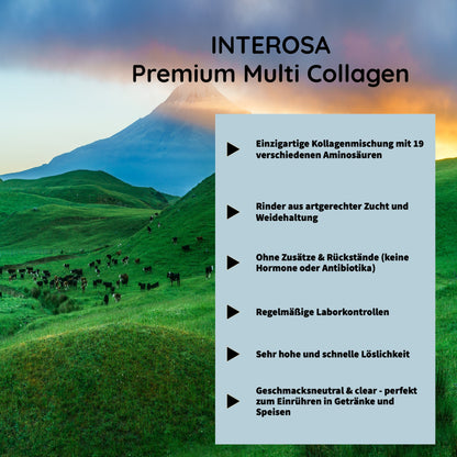 INTEROSA Premium Multi Collagen Powder 500 g