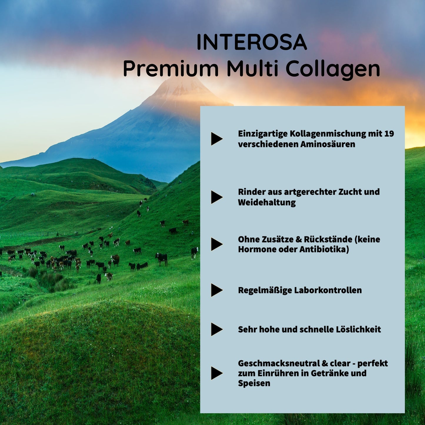 INTEROSA Premium Multi Collagène en poudre 50 g